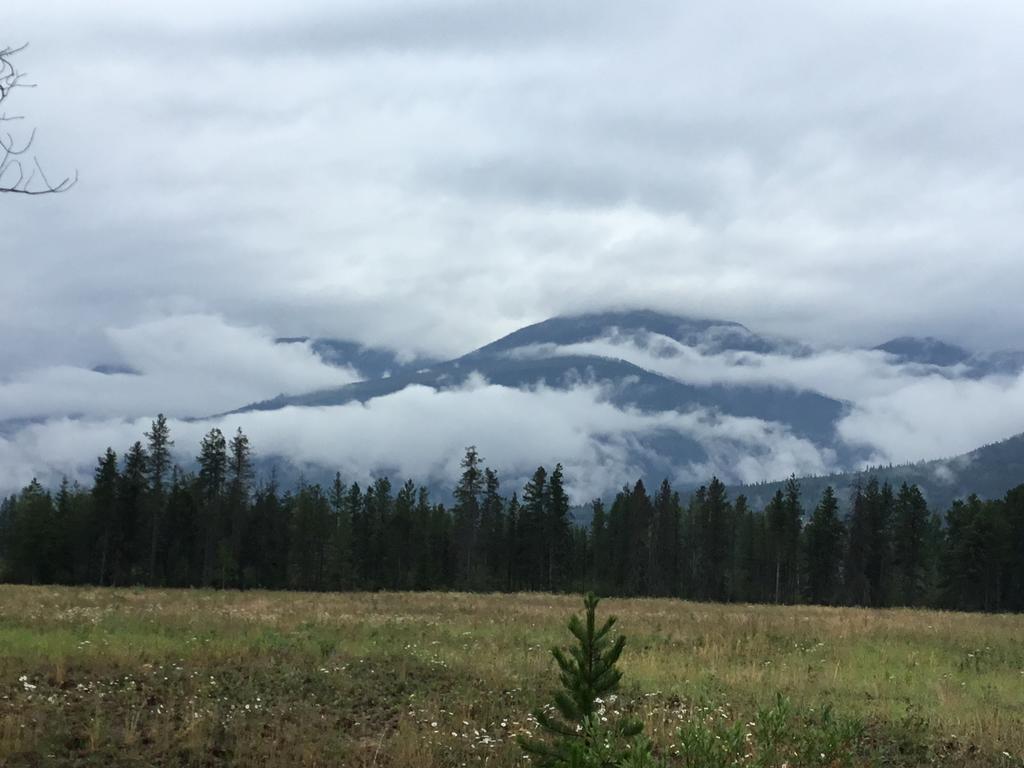 Rose Cottage Bed & Breakfast Valemount Exterior photo
