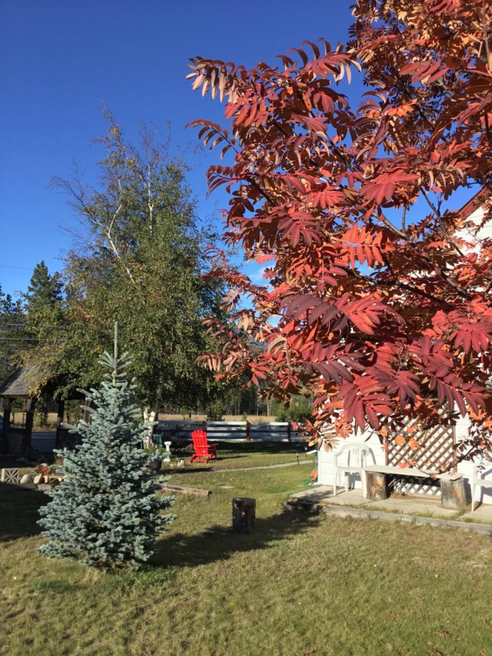Rose Cottage Bed & Breakfast Valemount Exterior photo