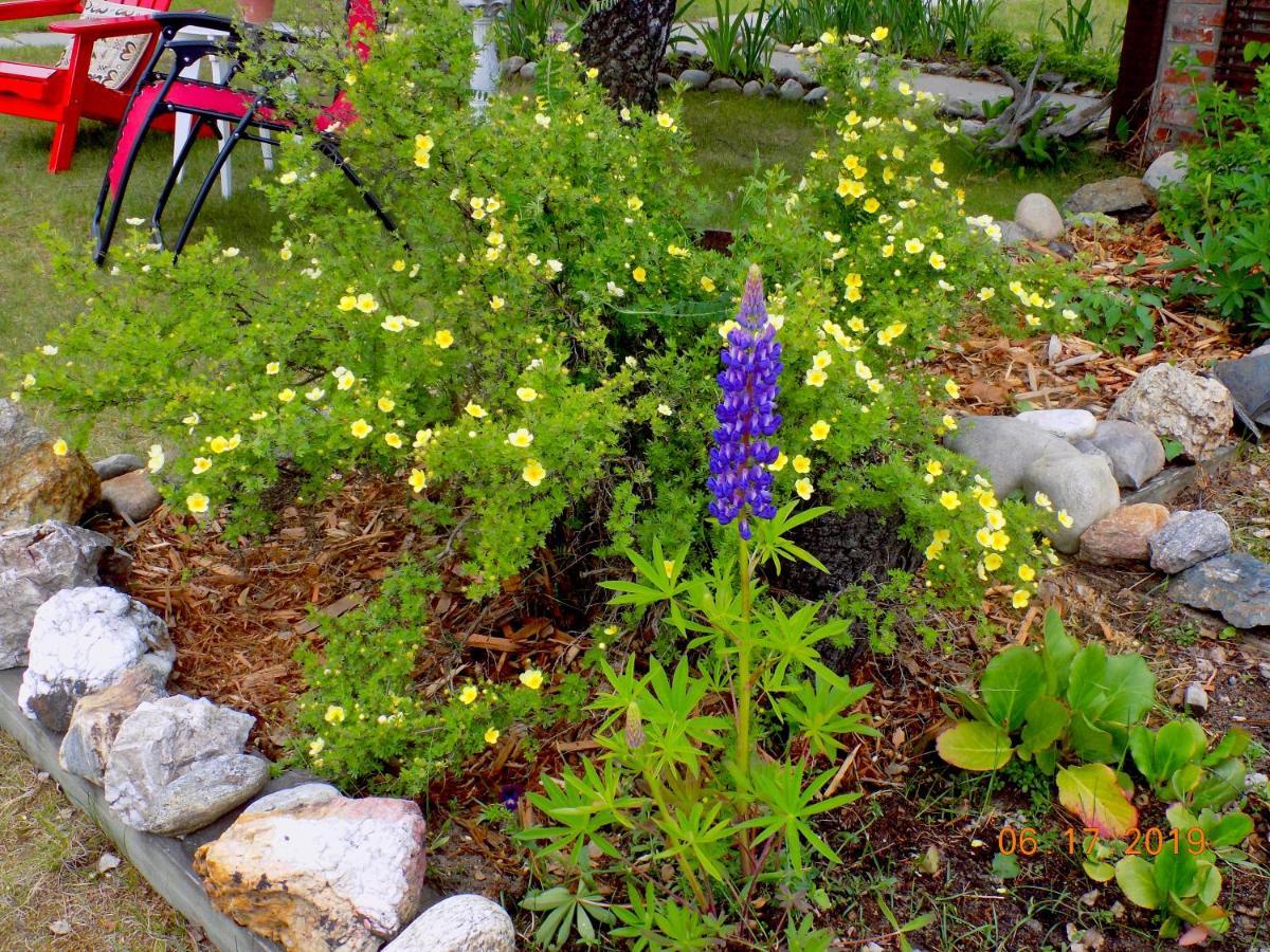 Rose Cottage Bed & Breakfast Valemount Exterior photo